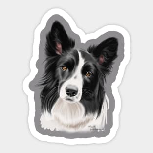 Border Collie Sticker